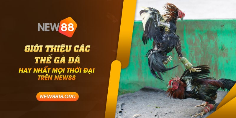 new88